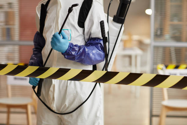 Professional Sewage Cleanup technician working in Monrovia, MD